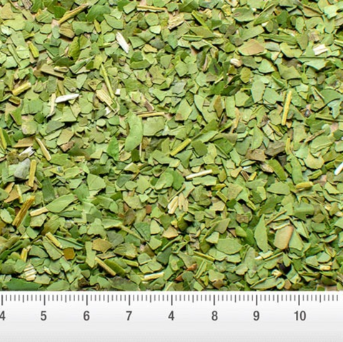 Organic Green Yerba Mate Leaves