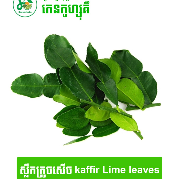 kaffir Lime leaves