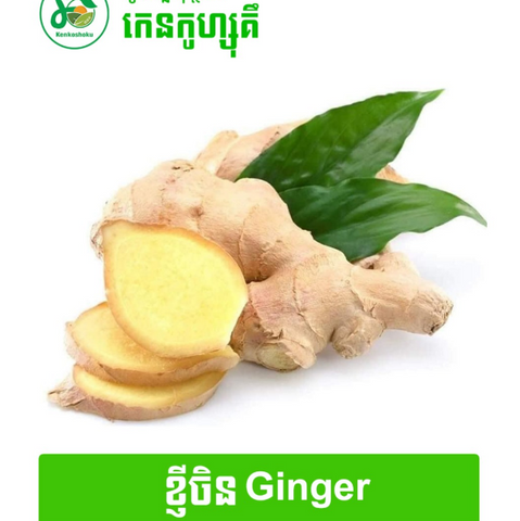 Chinese Ginger