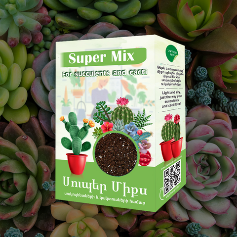 Super Mix for succulents and cacti 1L