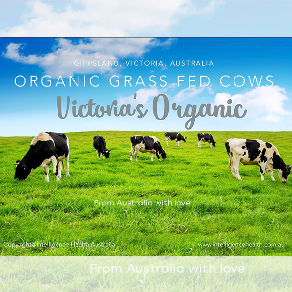 Victoria's Organic Infant Formula (1 to 3 years)