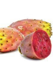 Prickly Pear Seed Oil (Cold Pressed)