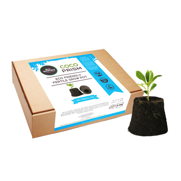Coco Prism - Gift Pack - Box Of 6 – Arabian Organics