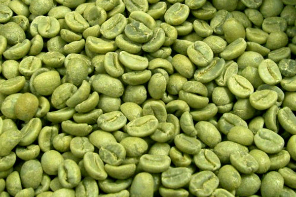 Coffee Robusta beans
