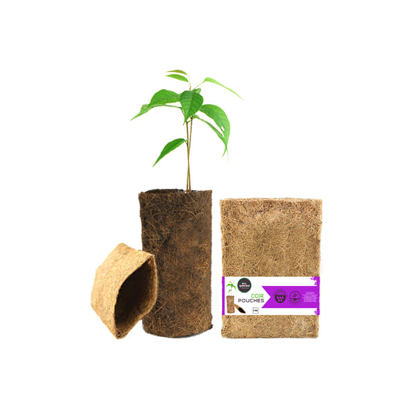 Coir Pouches - Gift Pack - Pack Of 6