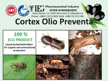 Cortex Olio