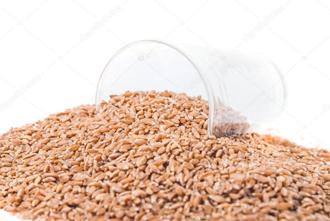 Organic Whole Grain Spelt Grits