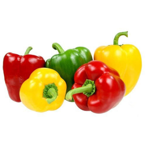 Sekem Capsicum
