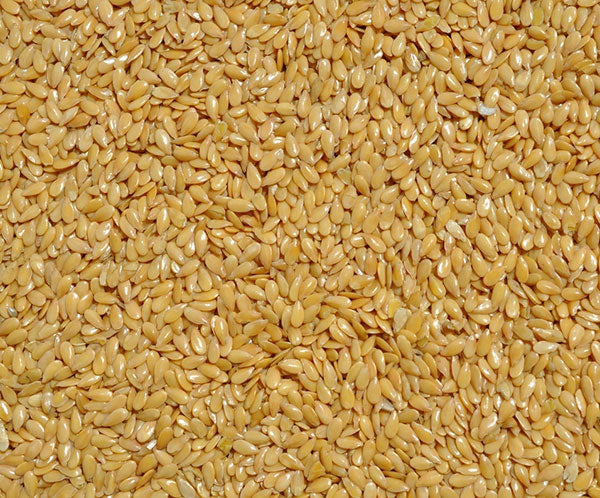 Gloden Flax