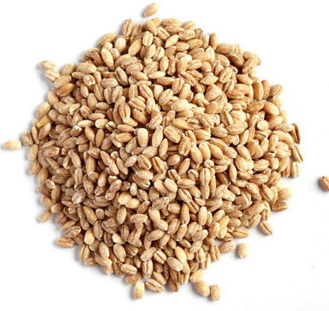 Hulled Organic Barley