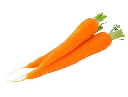 JF - Carrot