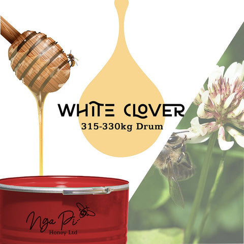 White Clover Honey - Pure & Raw New Zealand Honey - Bulk sale