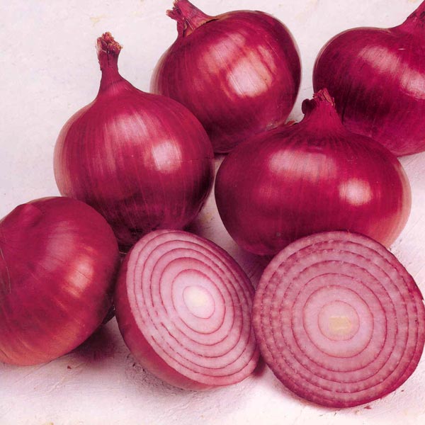 Sekem Red Onions